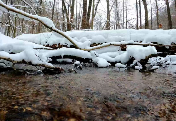 ɽϵѩˮ΃̎_(d)ˮָ(bio)Ҫ